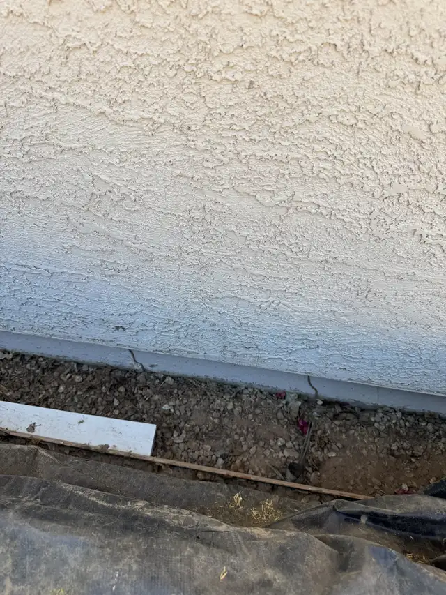 Termite mud tubes on a residential foundation wall